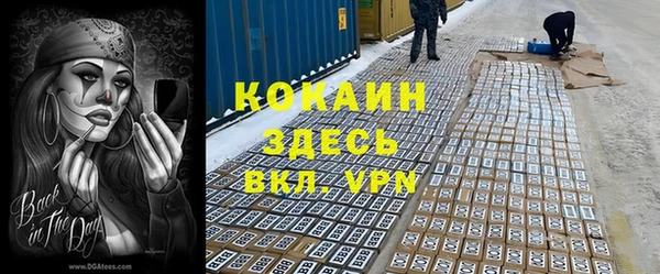 не бодяженный Арсеньев