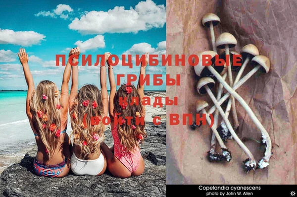 не бодяженный Арсеньев