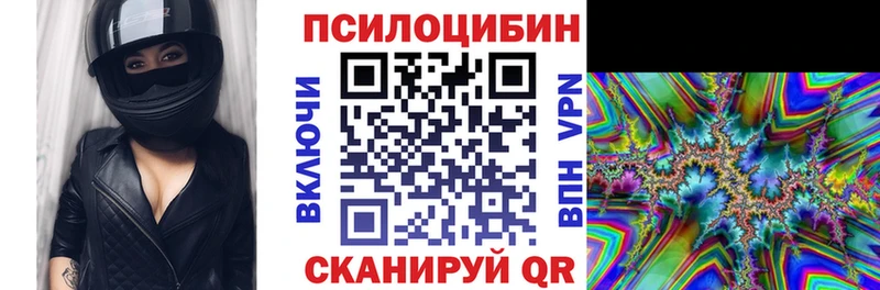 где найти наркотики Болхов Псилоцибиновые грибы MAGIC MUSHROOMS